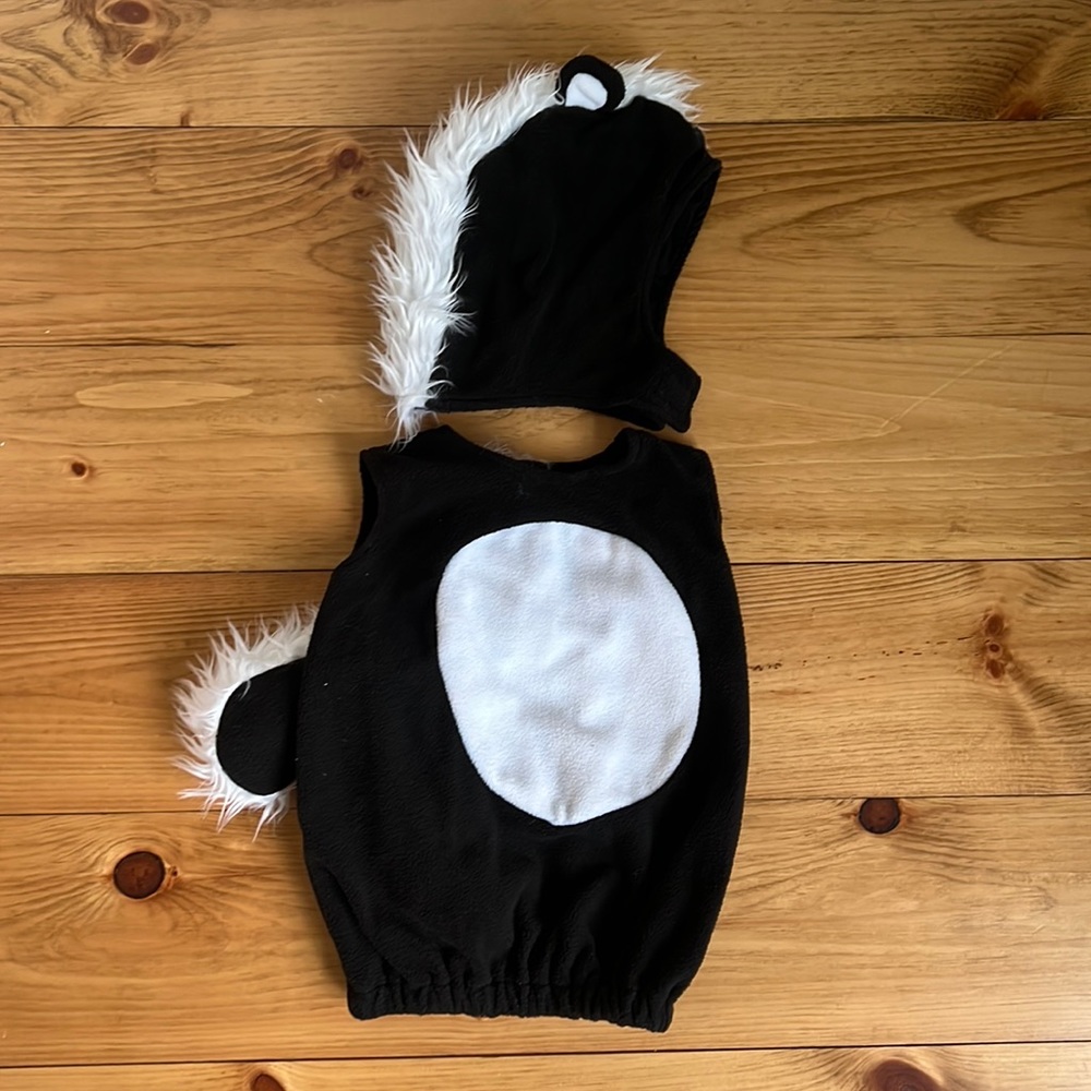 Pottery Barn Skunk Halloween Costume